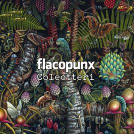 FLACOPUNX – Coleotteri